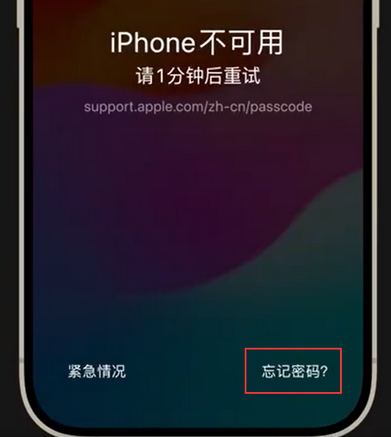 乌烈镇苹果手机密码维修分享iPhone忘记了刚设置的密码 