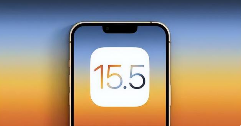 乌烈镇苹果手机维修分享iOS15.5 RC版升级建议 